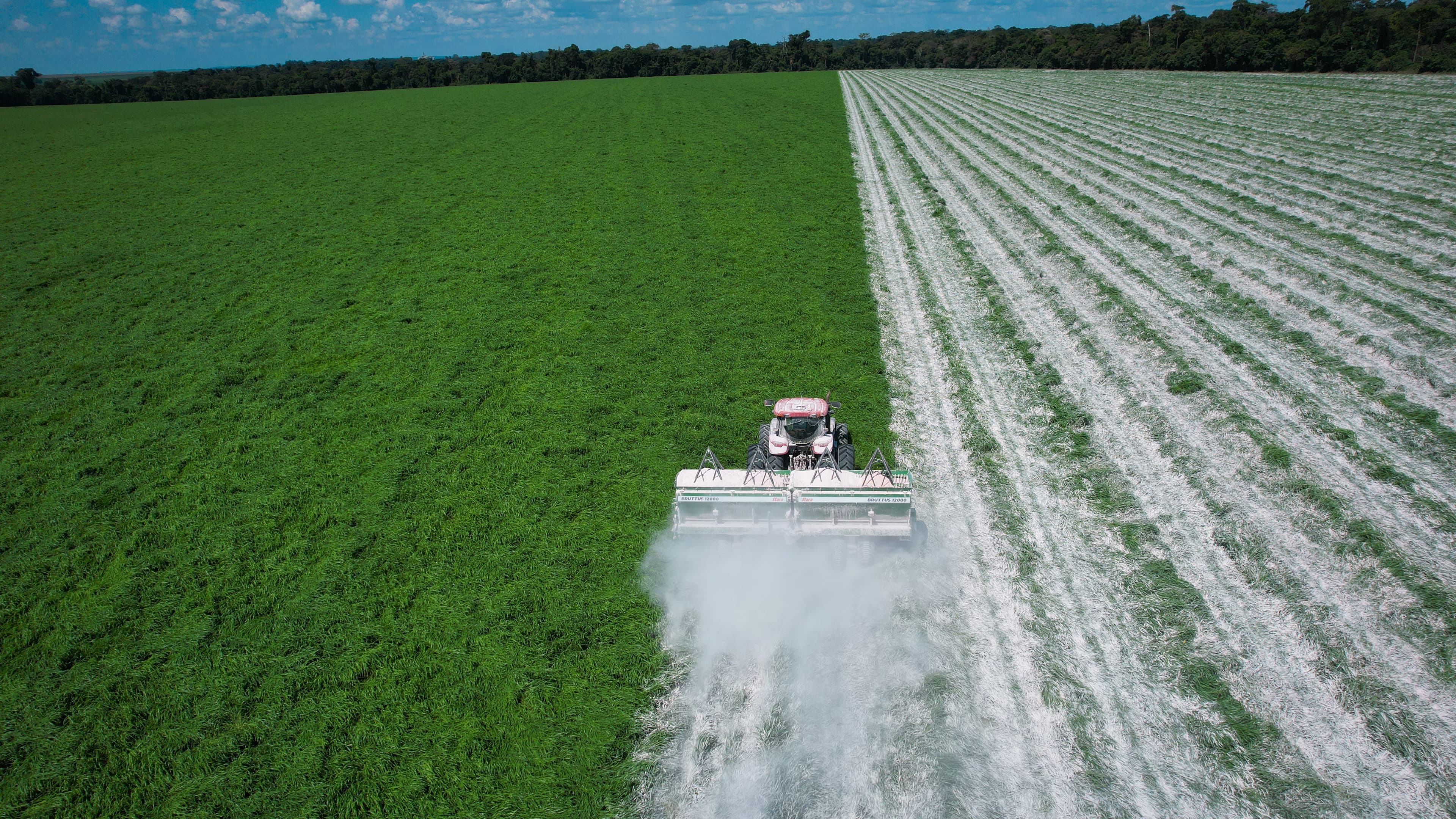 Consultoría agronómica
